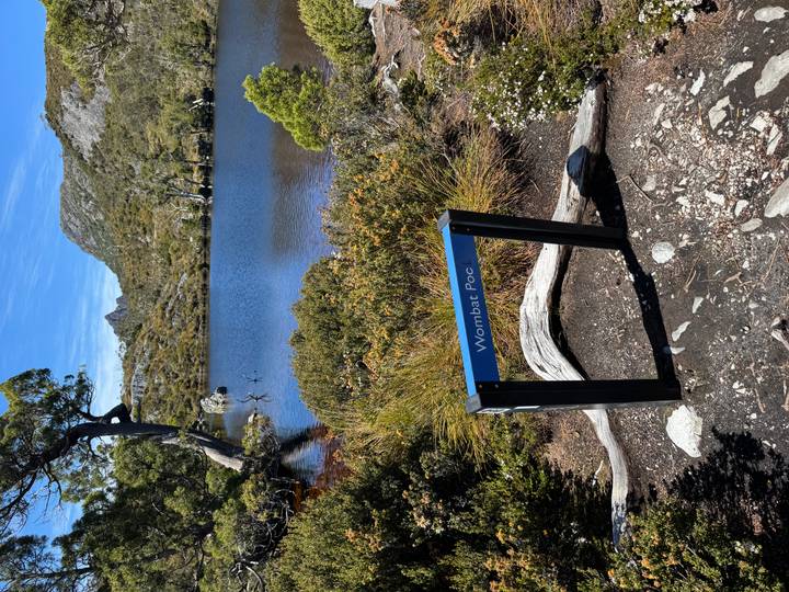 Vista del lago con montañas y cielo despejado.