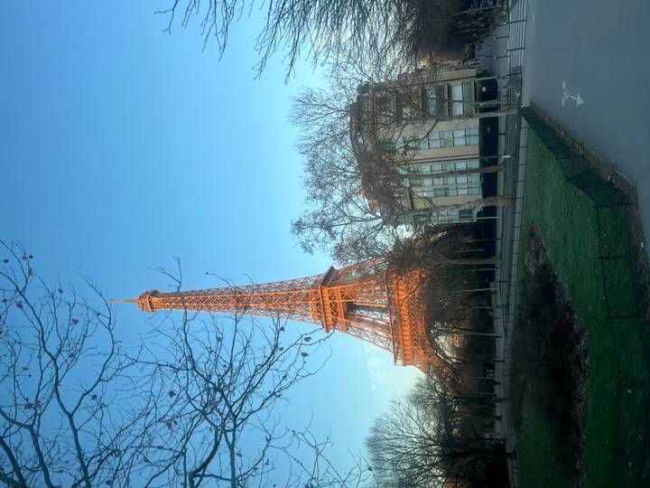 Torre Eiffel brillando al atardecer con árboles desnudos en primer plano.