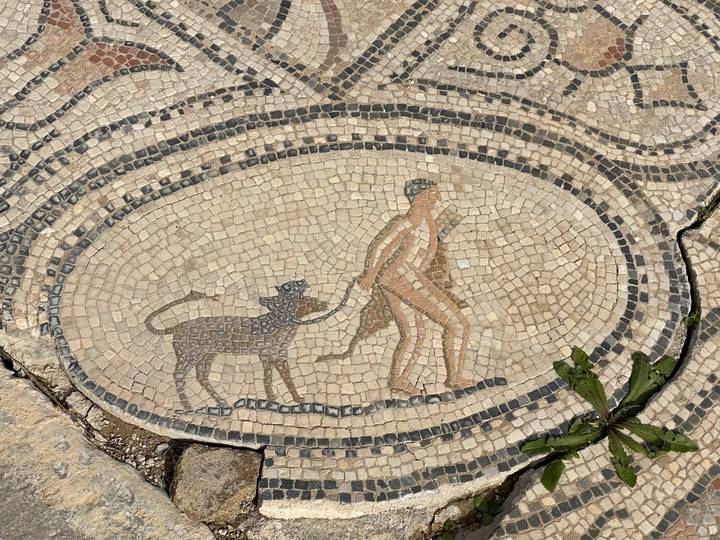 Mosaïque antique d'une personne marchant avec un singe.