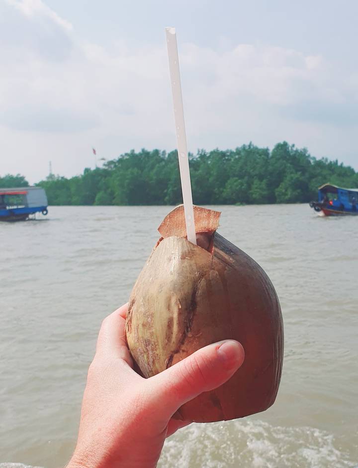 Coco con una pajita, río de fondo y barcos.