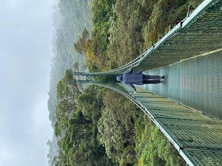 Personne marchant sur un pont suspendu dans une forêt de nuages.