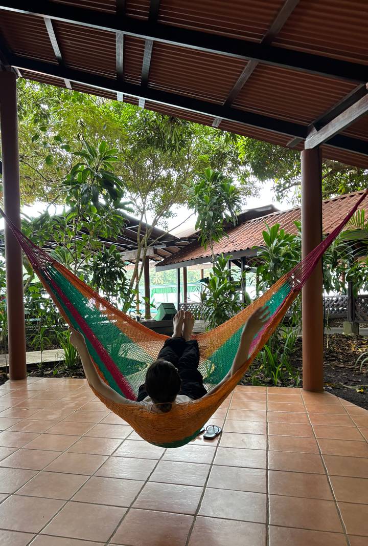 Personne se relaxant dans un hamac entouré d'arbres tropicaux.