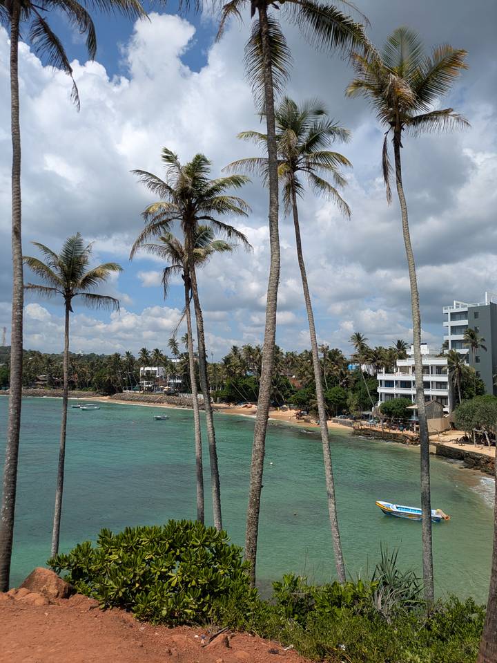 Vue côtière avec palmiers, plage et bâtiments.