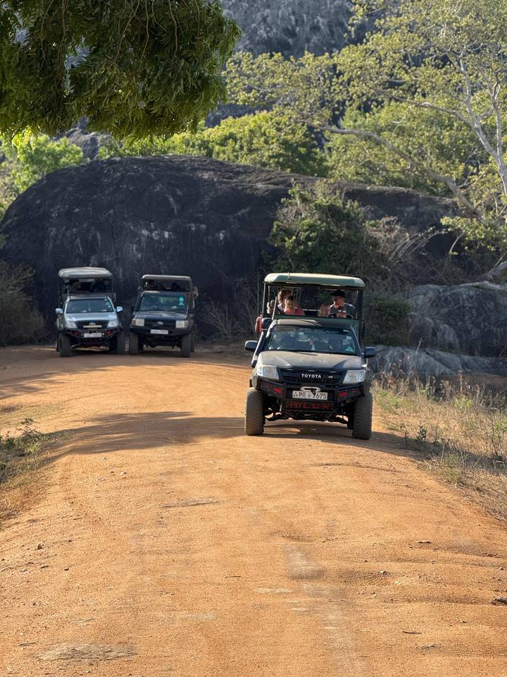 Grupo de personas en un tour de safari en vehículos todo terreno.
