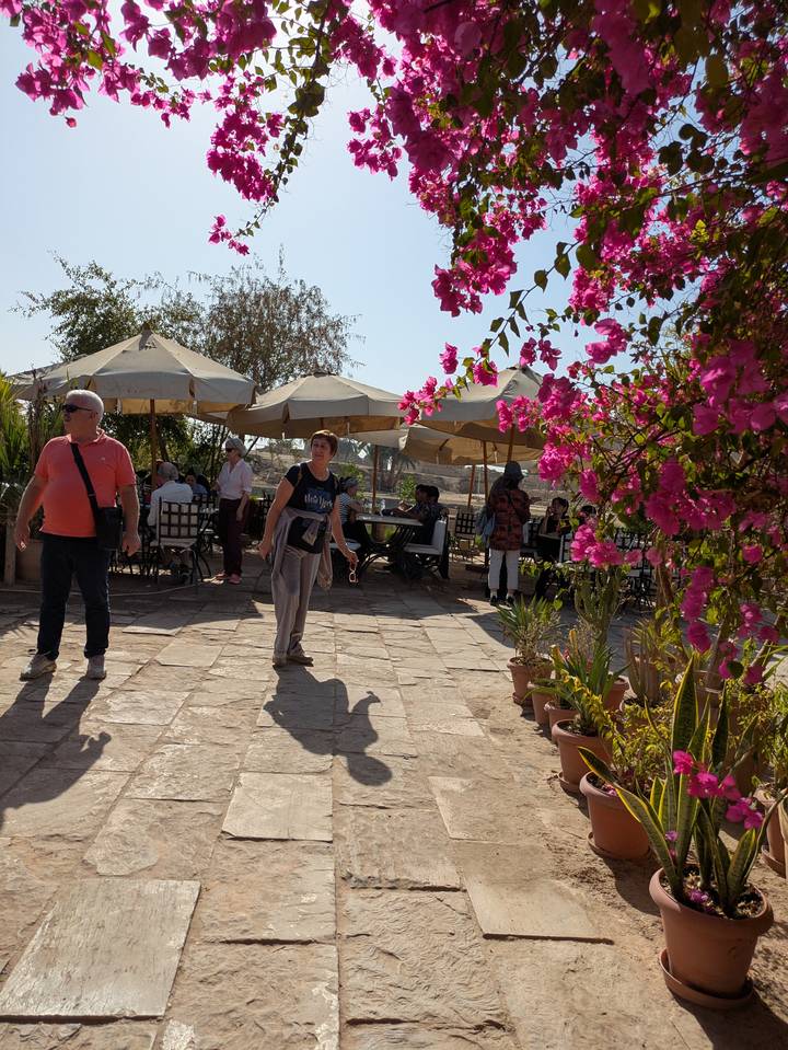 Personas bajo sombrillas en un café al aire libre con flores rosadas alrededor.