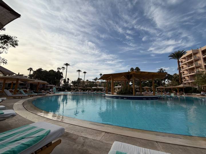 Zona de piscina de hotel lujoso con sillas y palmeras grandes.
