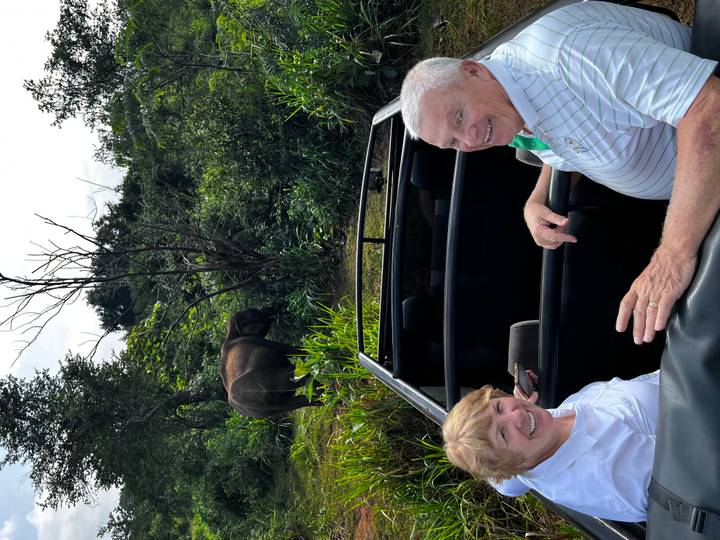 Couple on a safari vehicle watching an elephant in the wild.