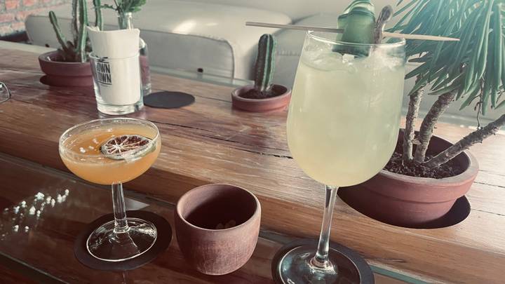 Twee cocktails op een houten tafel met planten in potten.