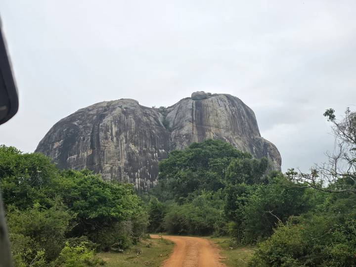 Große Felsformation umgeben von dichtem Wald