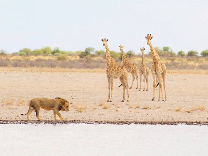 Dos hombres fotografiando vida silvestre en un lago con cámara y binoculares.