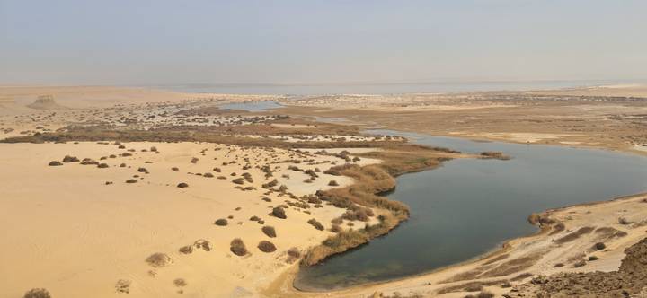 Aerial view of a desert landscape with a water body and vegetation.
