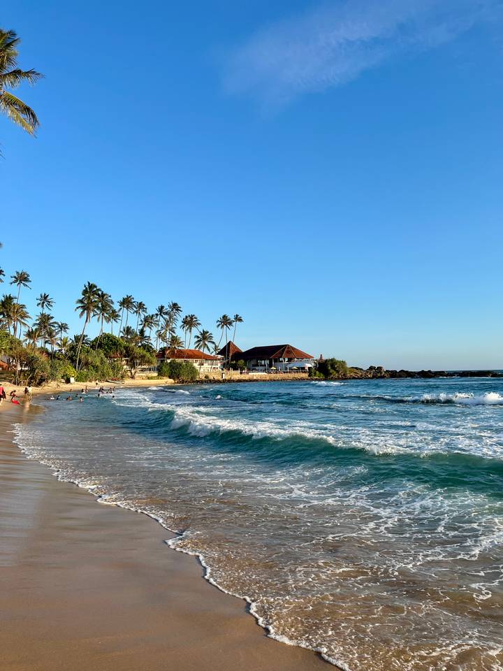 Beautiful beach scene with palm trees and a coastal resort.