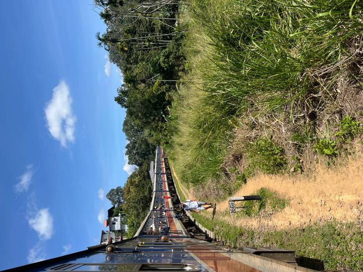 Train traveling through a lush green landscape with clear skies.