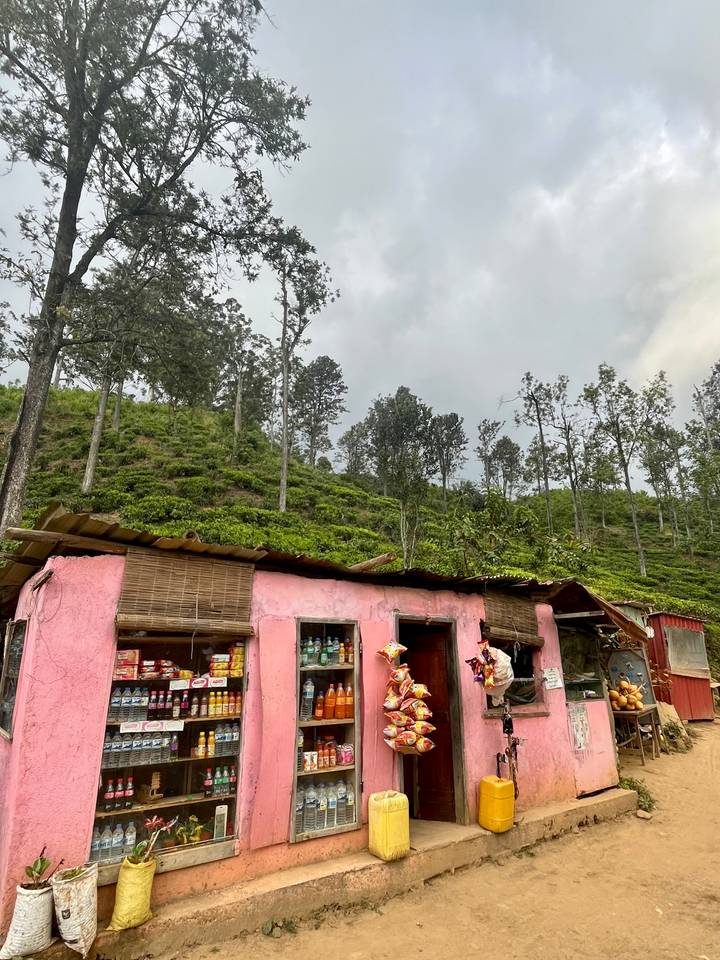 Small pink house with a tin roof in a lush green landscape.