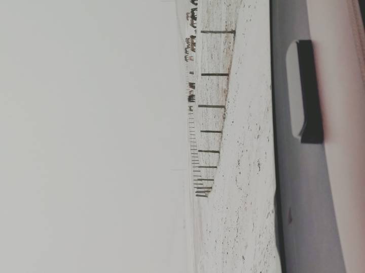 Snowy landscape with horses in a field viewed from a car.