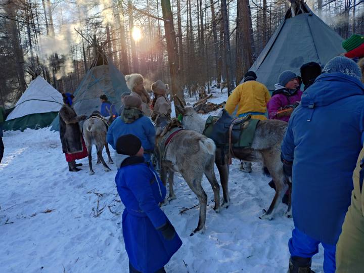 People and reindeer in a snowy forest setting.