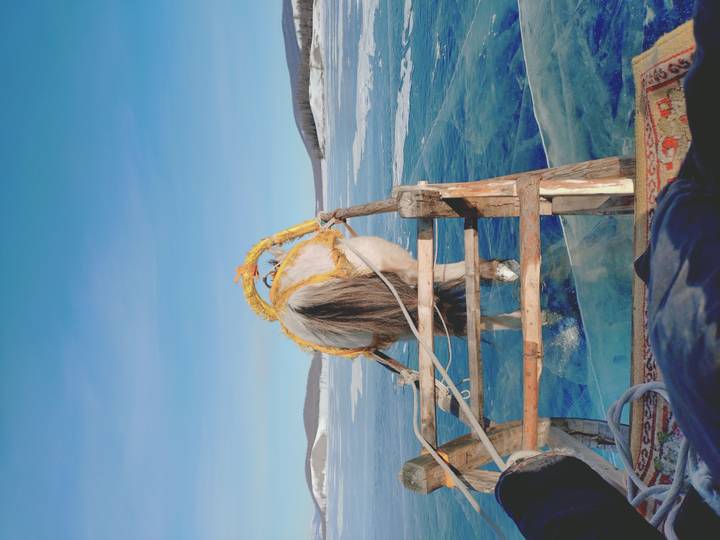Horse pulling a sled on a frozen lake.