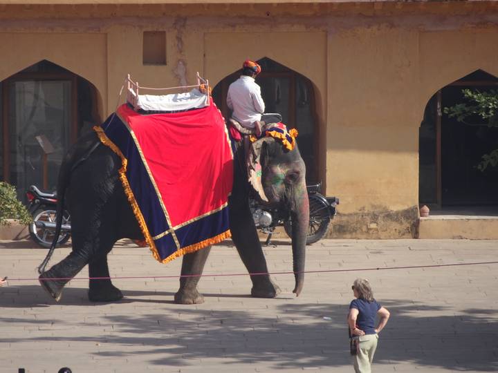Decorated elephant carrying a rider inside Amber Fort while a tourist watches from below.