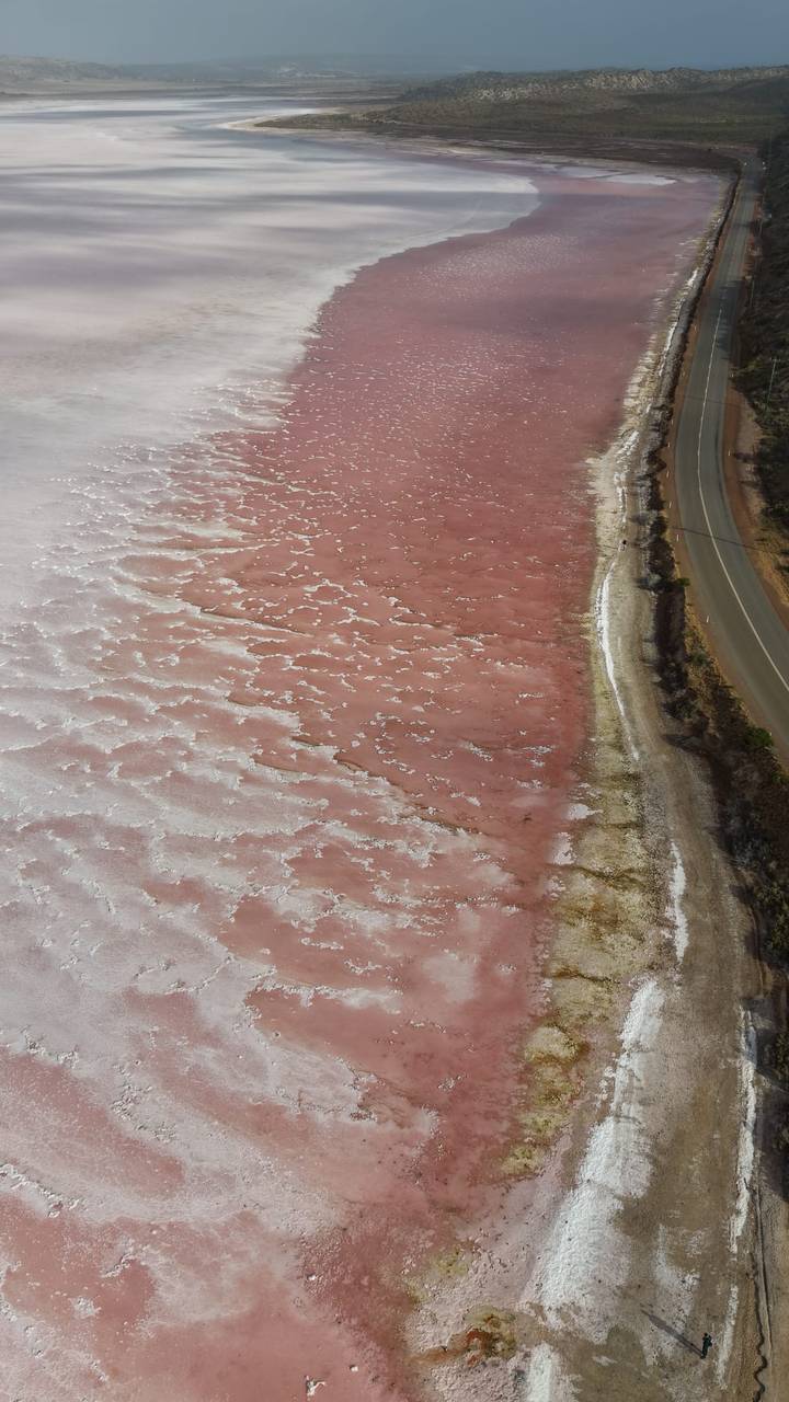 Aerial view of a vivid pink salt lake shoreline contrasting with a narrow road and white salt crust along the edge.
