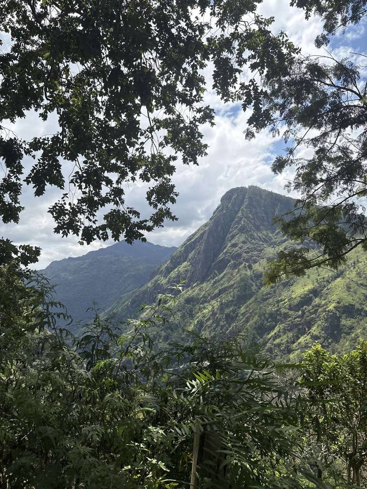 Verdant mountain peak framed by tree branches under a partly cloudy sky in Sri Lanka’s hill country.