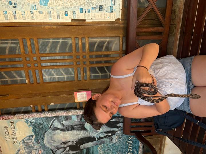 Young woman seated on a wooden bench gently holds a small snake during an interactive encounter.