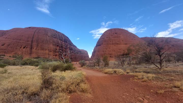 Red dirt track leading toward the rounded domes of Kata Tjuta under a bright blue sky