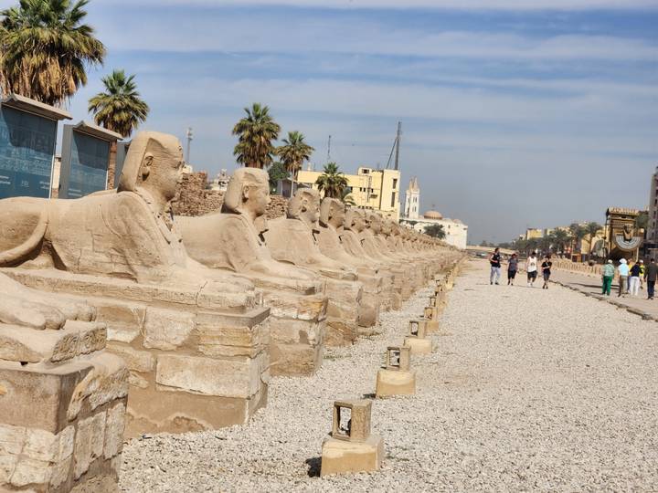 Long row of sphinx statues lining the Avenue of Sphinxes in Luxor under a blue sky.