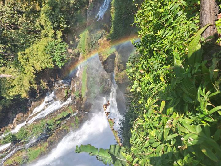 Bright rainbow arcs through mist beside a powerful jungle waterfall framed by lush greenery.