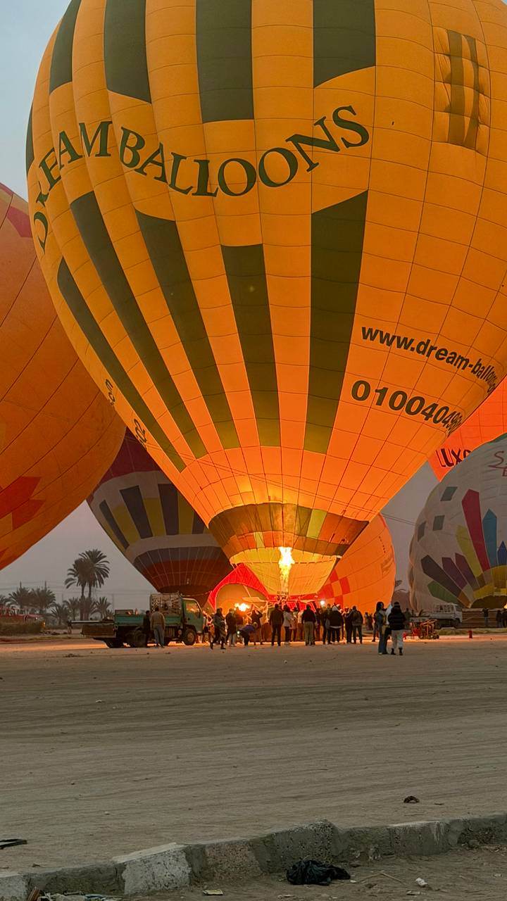 Brightly lit hot-air balloons inflate in predawn light with flames shooting into colourful envelopes.