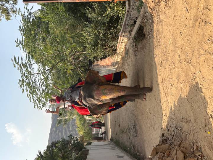 Tourists riding a colorfully painted elephant along a dusty village track waving to camera