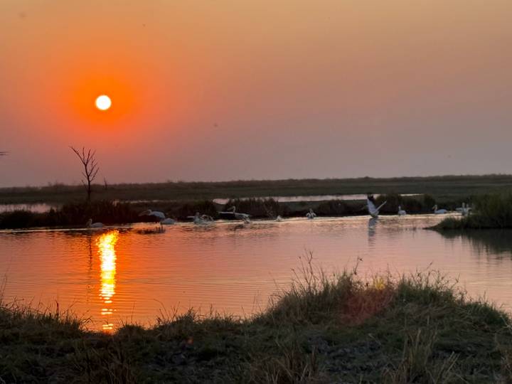 Orange sun setting over a wetland with birds flying and its reflection shimmering on the water.