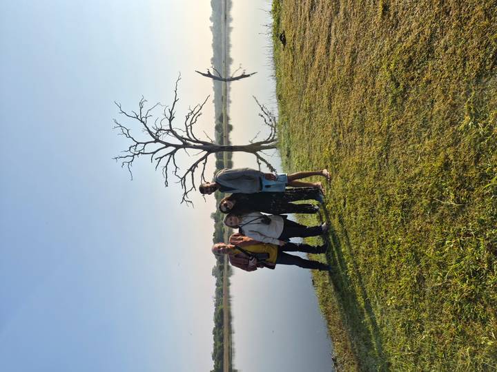 Small group stands on grassy lakeshore reflecting a leafless tree at dawn.
