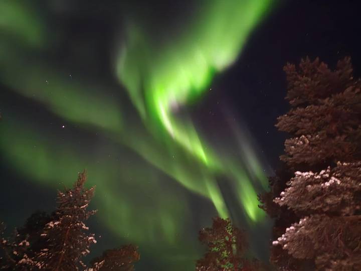 Brilliant green aurora borealis curtains dancing across a starry winter sky above snow-tipped pines.