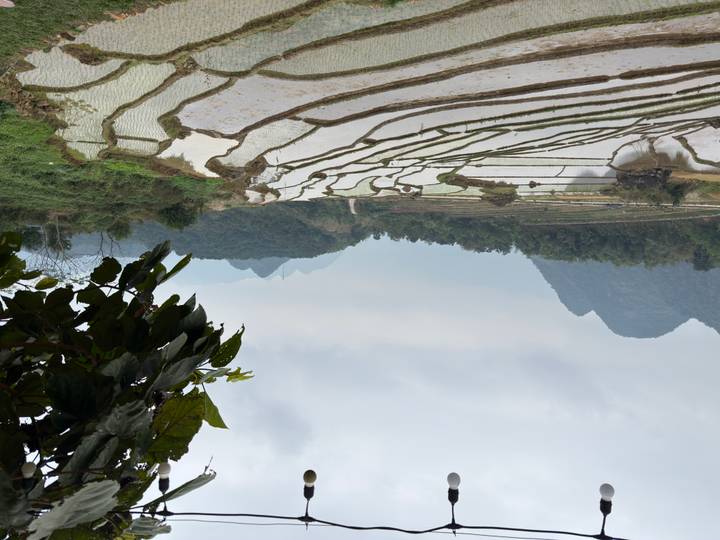 Layered rice terraces filled with water stretching toward misty karst mountains under an overcast sky.