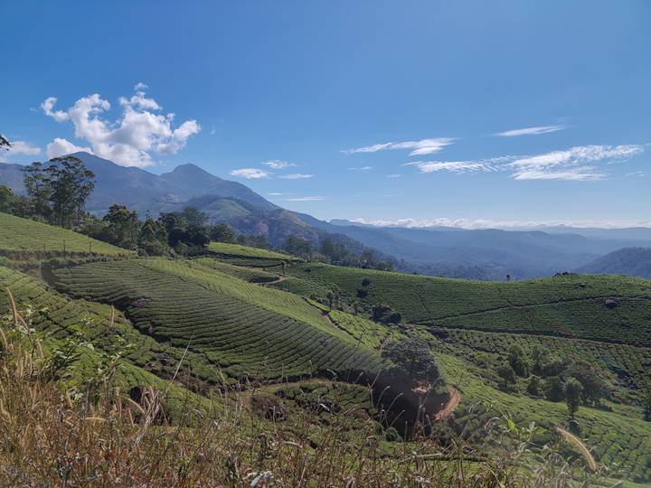 Expansive mountain panorama with terraced tea plantations under a clear blue Kerala sky.
