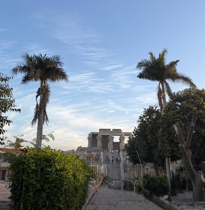Distant Kom Ombo Temple framed by tall palm trees under streaky clouds.