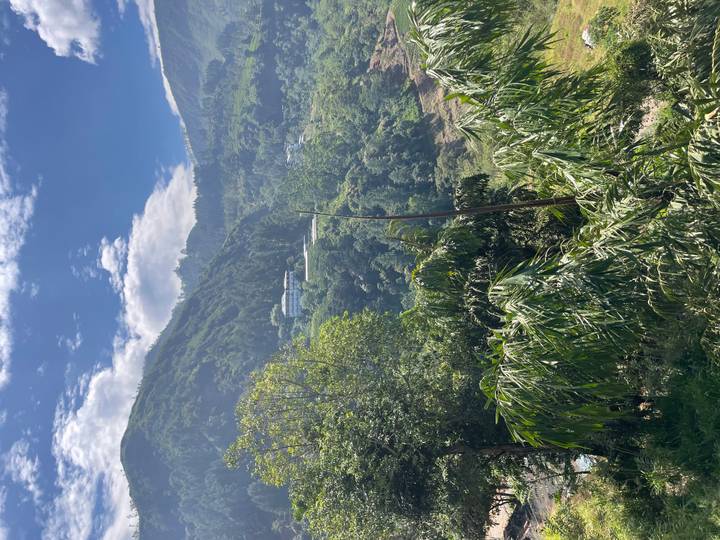 Verdant hillside with tea plantations and scattered homes under blue sky.