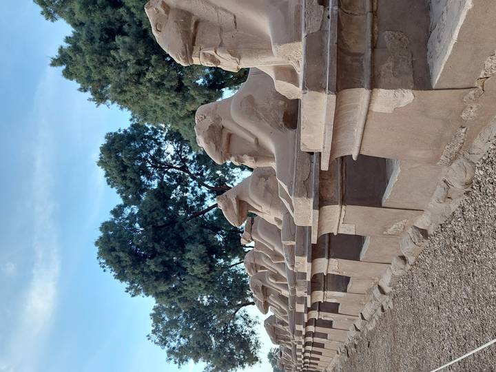 Row of ram-headed sphinxes flanks a sandy pathway under leafy trees and a blue sky.