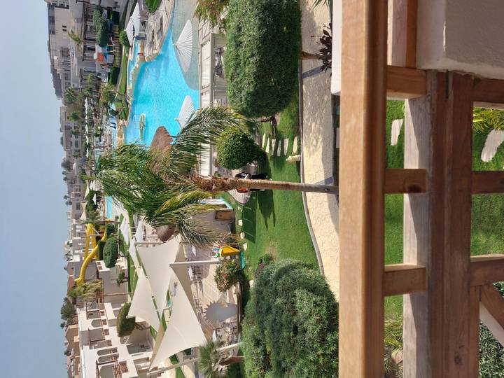 Sunny resort scene with palm trees, lagoon pools, and sun loungers viewed from a balcony.