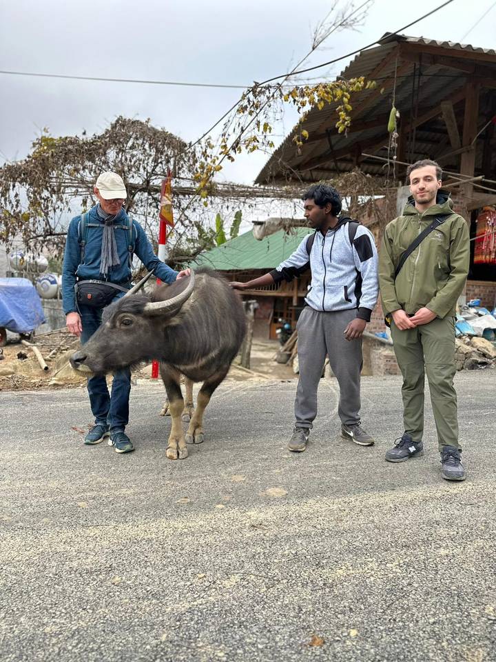 Three travellers petting a water buffalo beside a rural roadside with simple houses in the background.