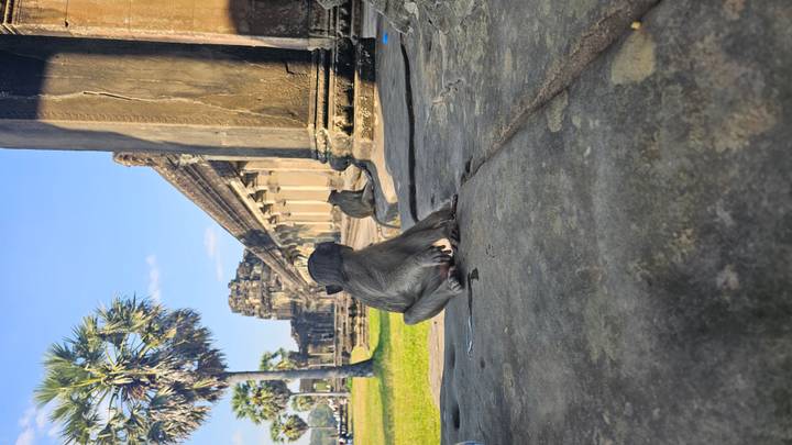 Curious monkey sits on temple railing with sandstone galleries in background.