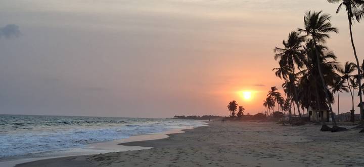 Soft orange sun dips below horizon over quiet sandy beach lined with palms.