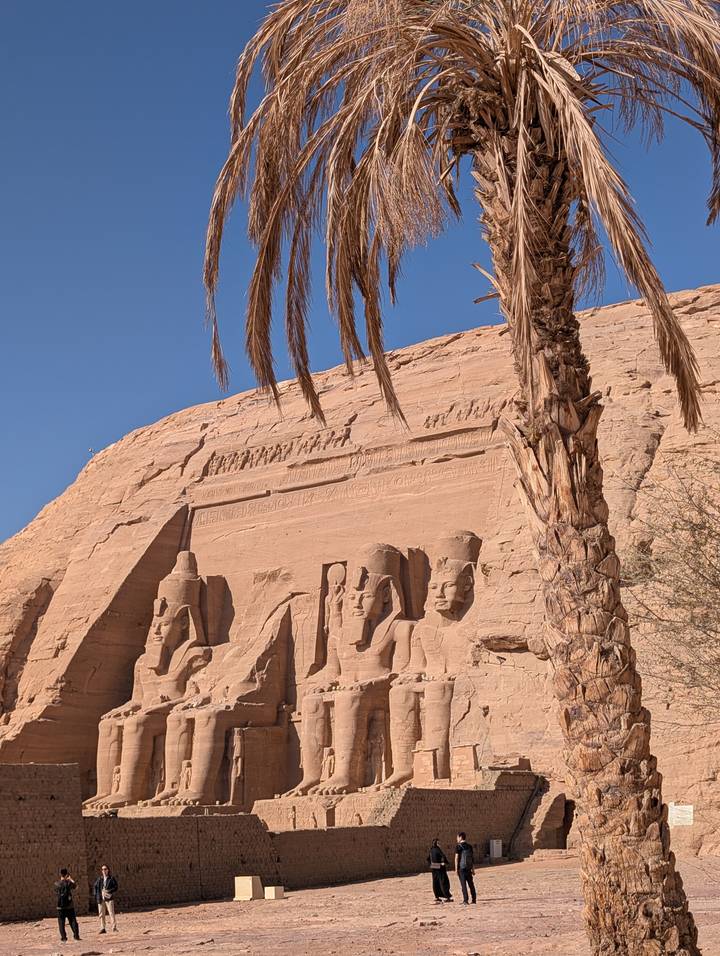 Carved façade of Abu Simbel temple partly shaded by a palm tree under clear sky.