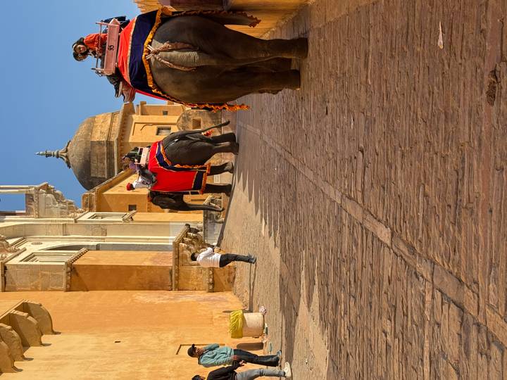 Elephants carrying tourists climb the cobbled ramp of Amber Fort’s ochre walls under bright skies.