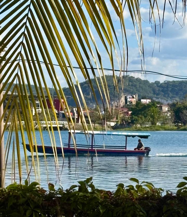 Small motorboat on a blue lake framed by palm fronds with hillside town beyond