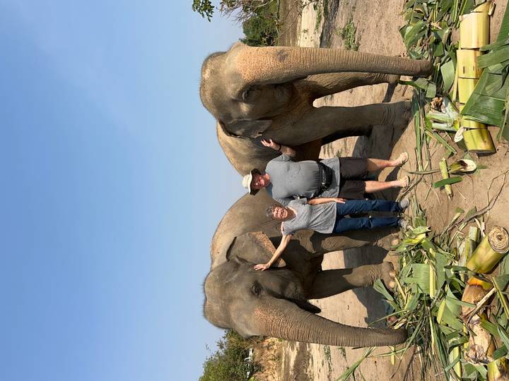 Two travelers stand hand-in-trunk with rescued elephants on a sunny plain