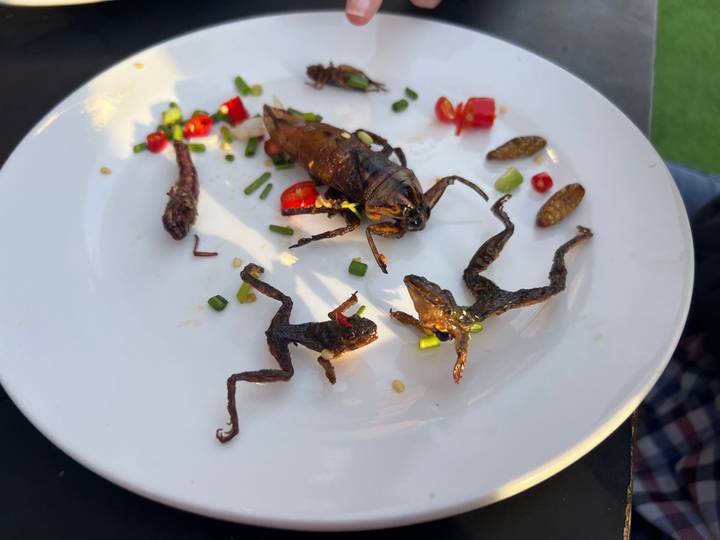 White plate topped with fried insects, tiny frogs, chilies, and herbs as an exotic snack