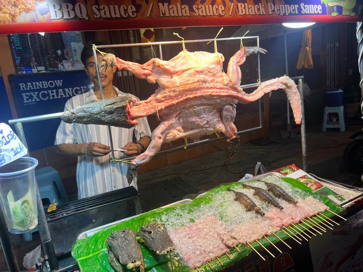 Street vendor displaying a skinned crocodile carcass and small reptiles on ice at night market stall