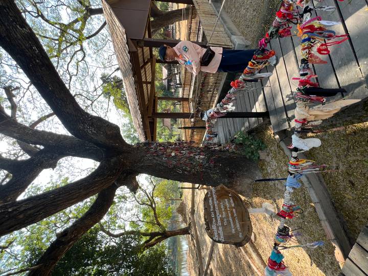 Bracelet-covered memorial tree at Killing Fields with a uniformed guard standing nearby