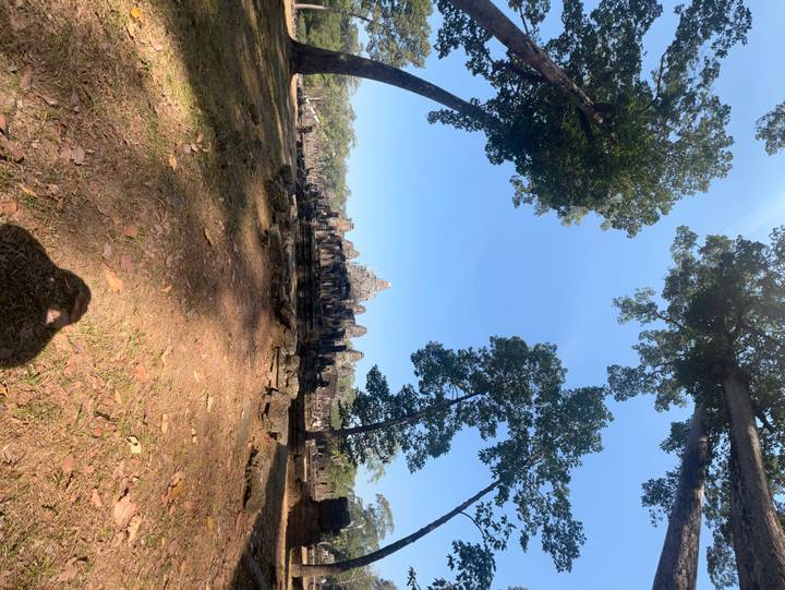 Distant temple set among tall trees viewed from a wide forest clearing with photographer shadow